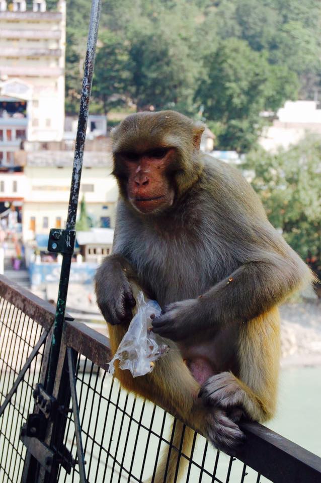 936642_1002696583127244_8695680553679128565_n